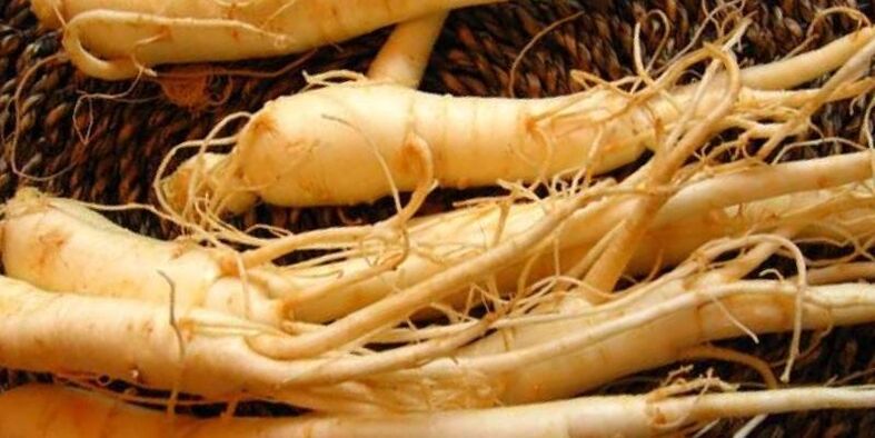 Rădăcina de ginseng pentru a crește potența